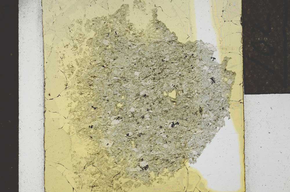 Plane Polarized, S22068