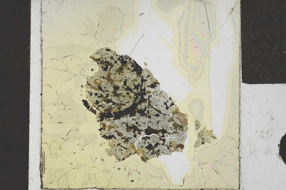 Plane Polarized, S22070