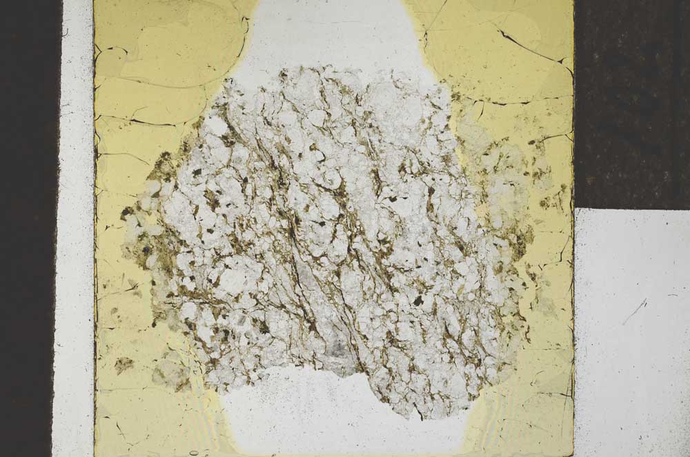 Plane Polarized, S22073