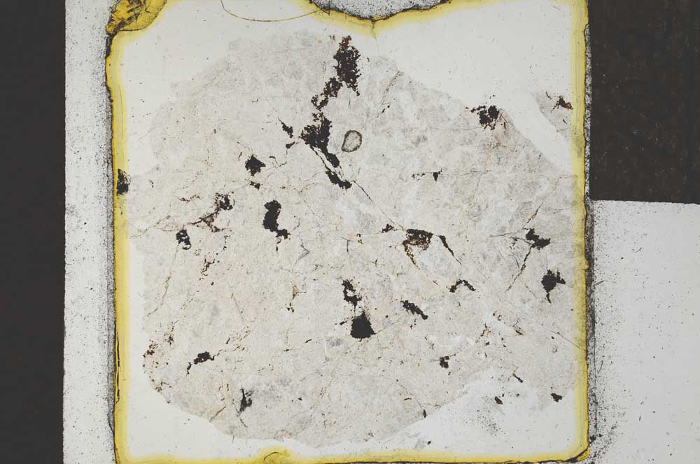 Plane Polarized, S22074