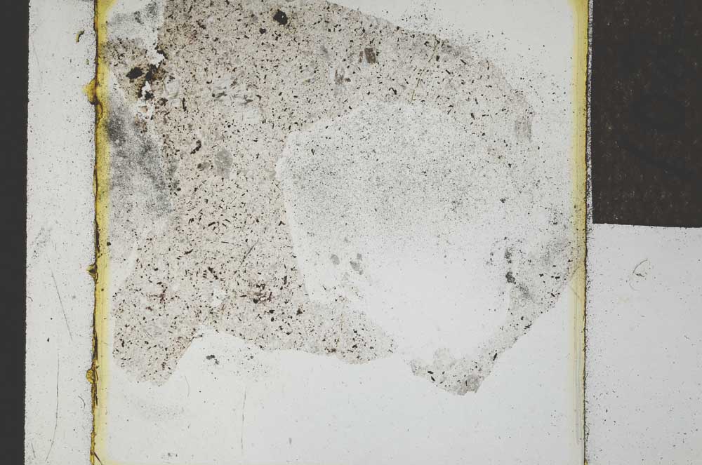 Plane Polarized, S22078