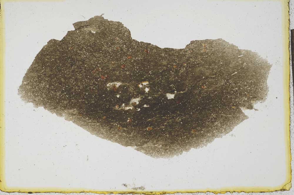 Plane Polarized, S22085