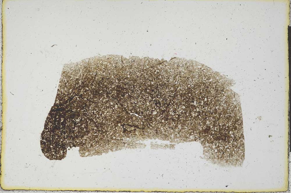 Plane Polarized, S22087