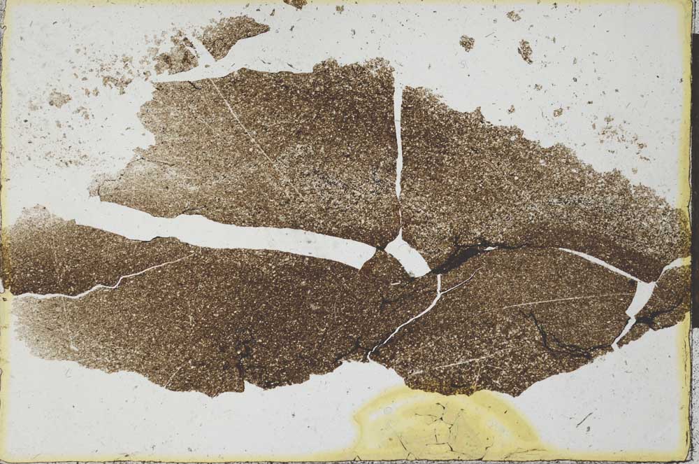 Plane Polarized, S22088