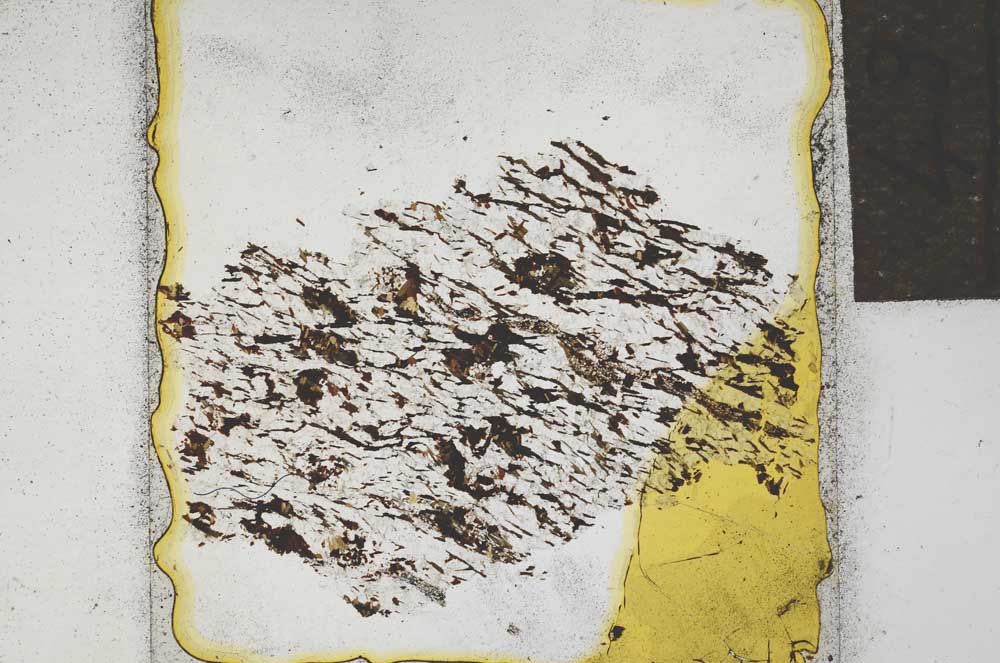 Plane Polarized, S22091