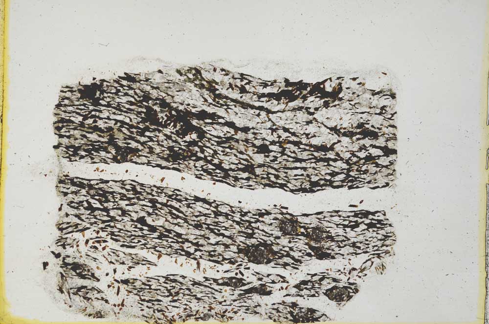 Plane Polarized, S22094