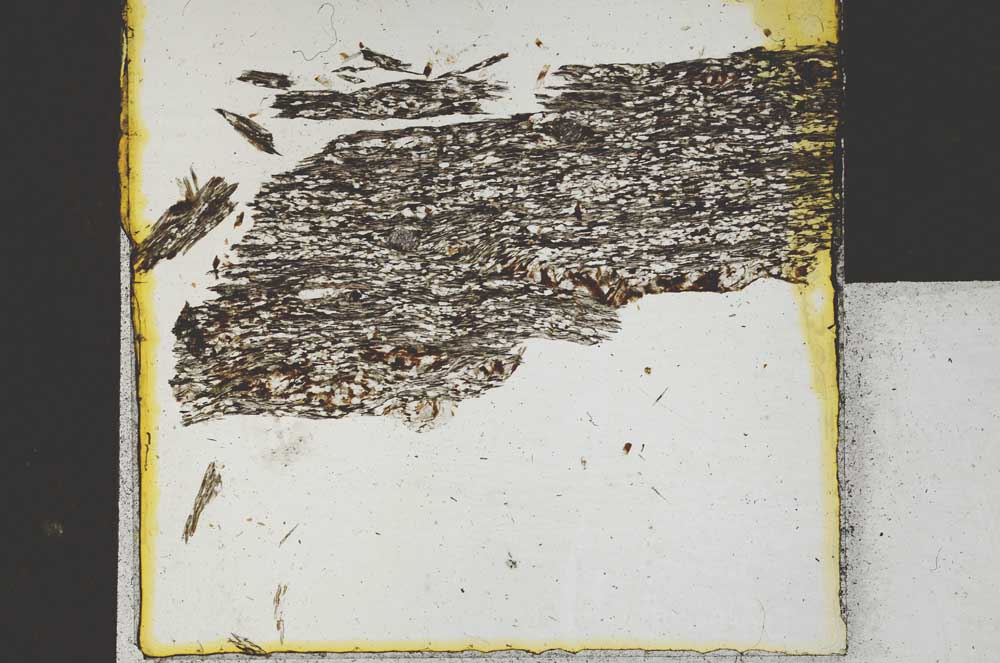 Plane Polarized, S22112