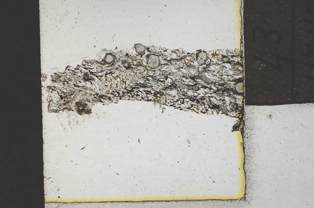 Plane Polarized, S22114