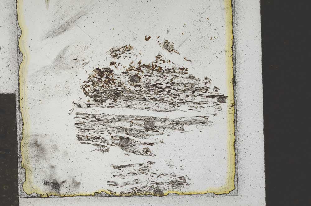 Plane Polarized, S22116