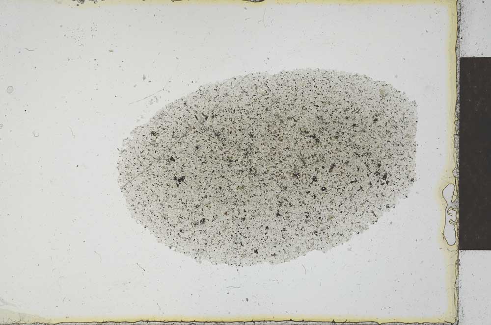 Plane Polarized, S22139