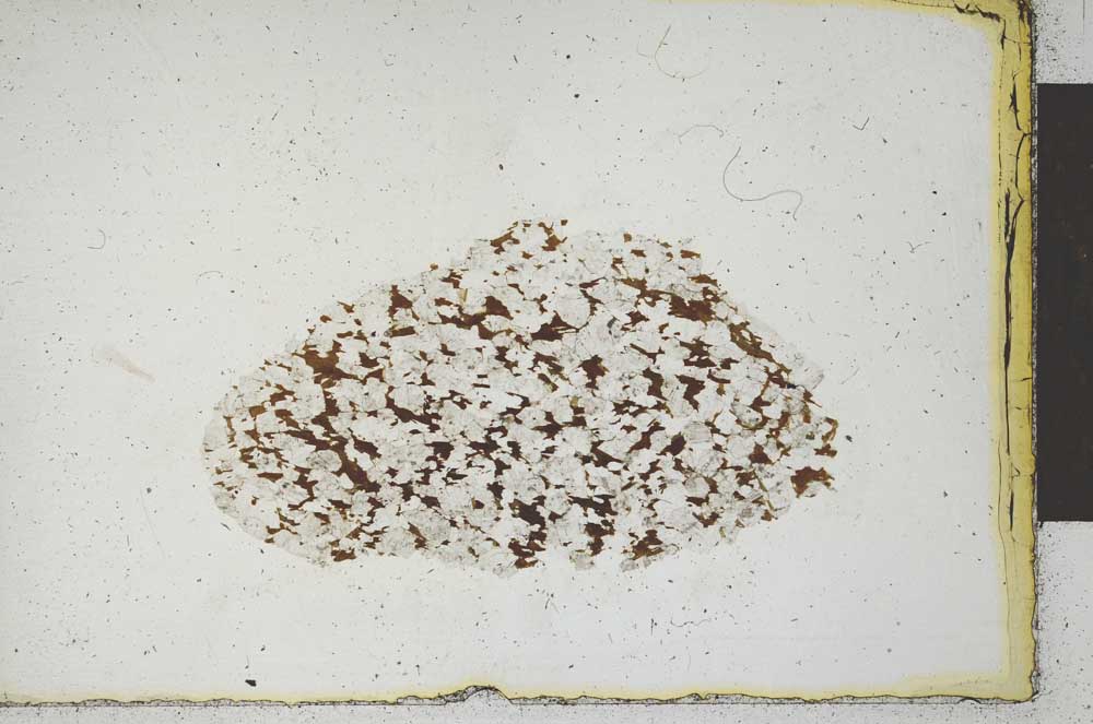 Plane Polarized, S22143