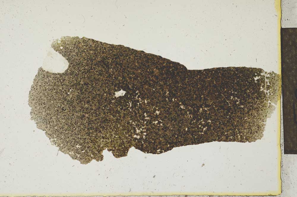 Plane Polarized, S22171