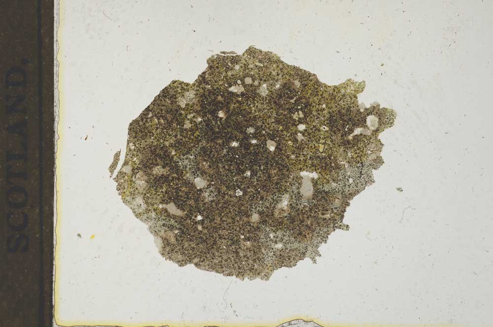 Plane Polarized, S22178