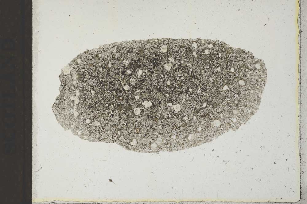 Plane Polarized, S22179