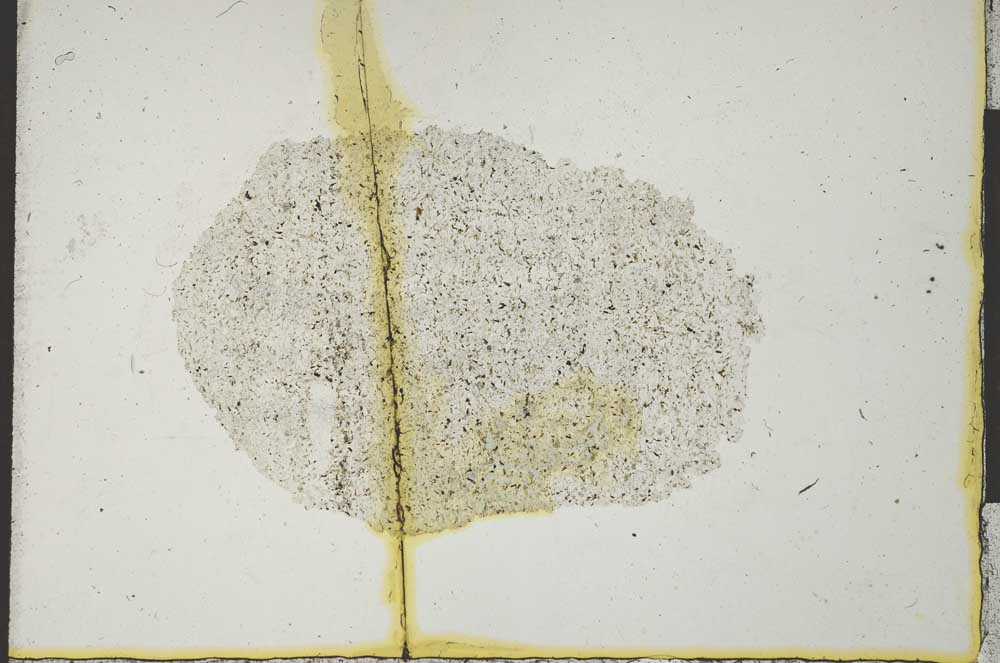 Plane Polarized, S22180