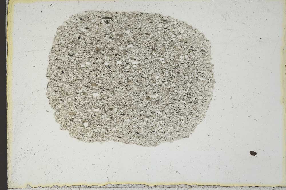 Plane Polarized, S22196