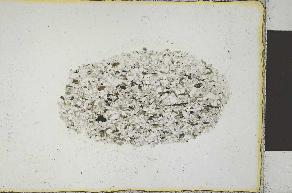 Plane Polarized, S22198