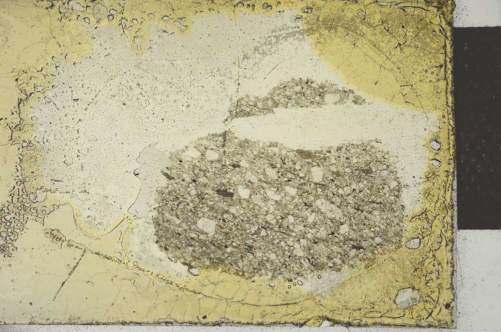 Plane Polarized, S22201