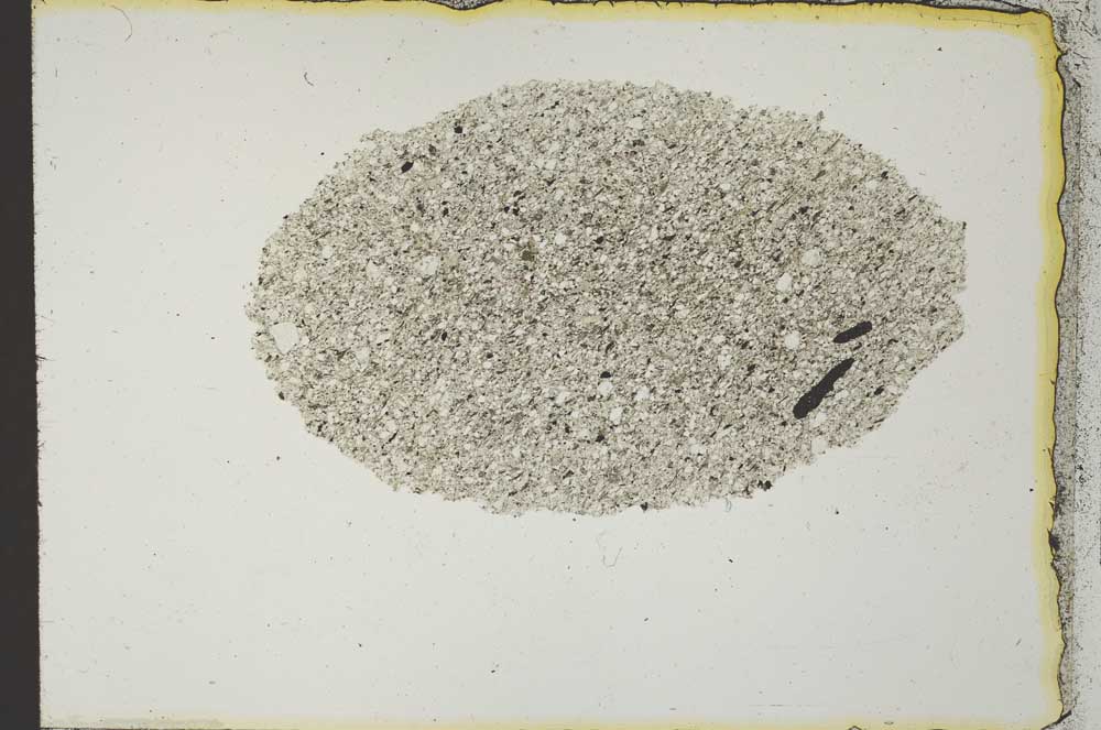 Plane Polarized, S22202