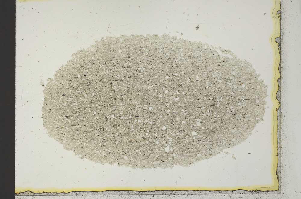 Plane Polarized, S22205