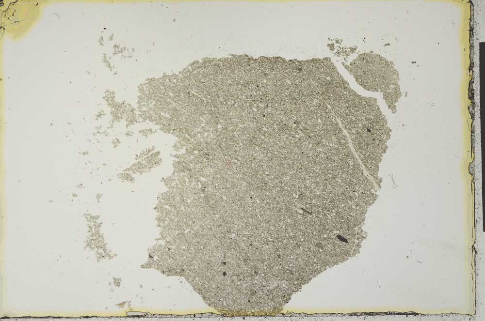 Plane Polarized, S22208