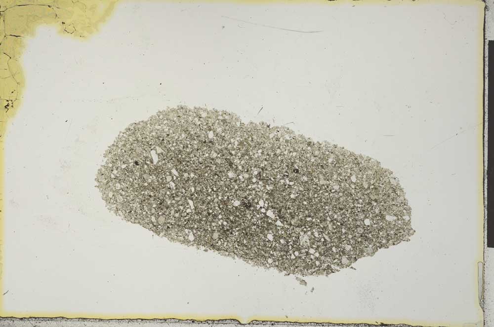 Plane Polarized, S22209