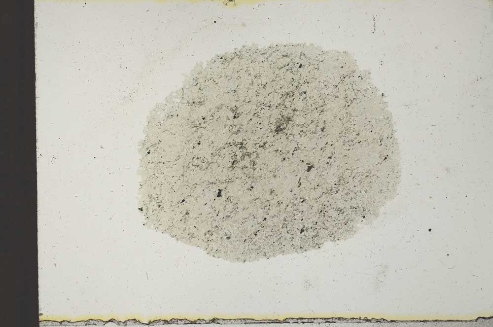 Plane Polarized, S22210