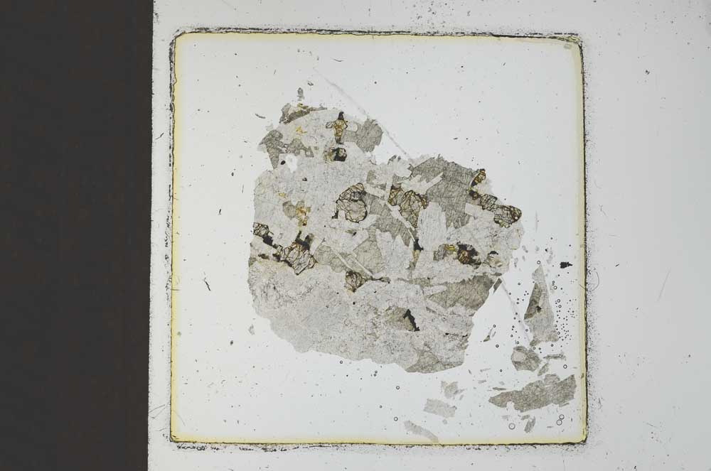 Plane Polarized, S22370