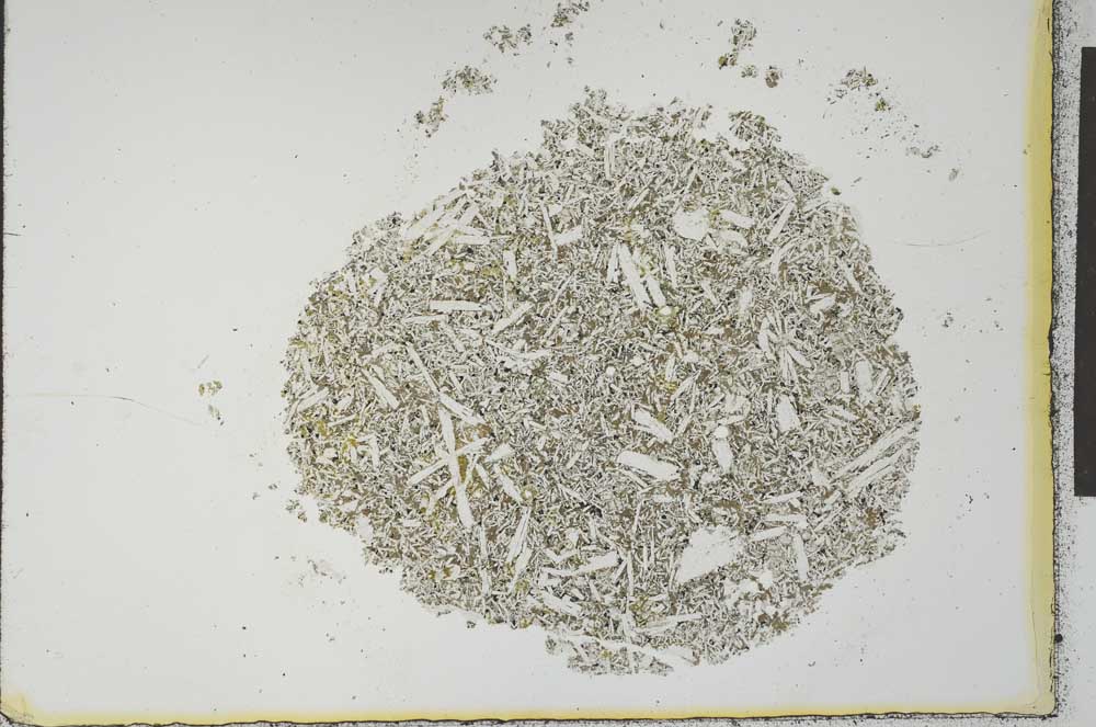 Plane Polarized, S22467