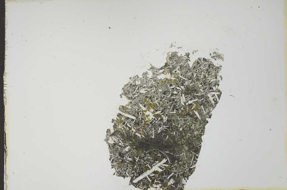 Plane Polarized, S22483