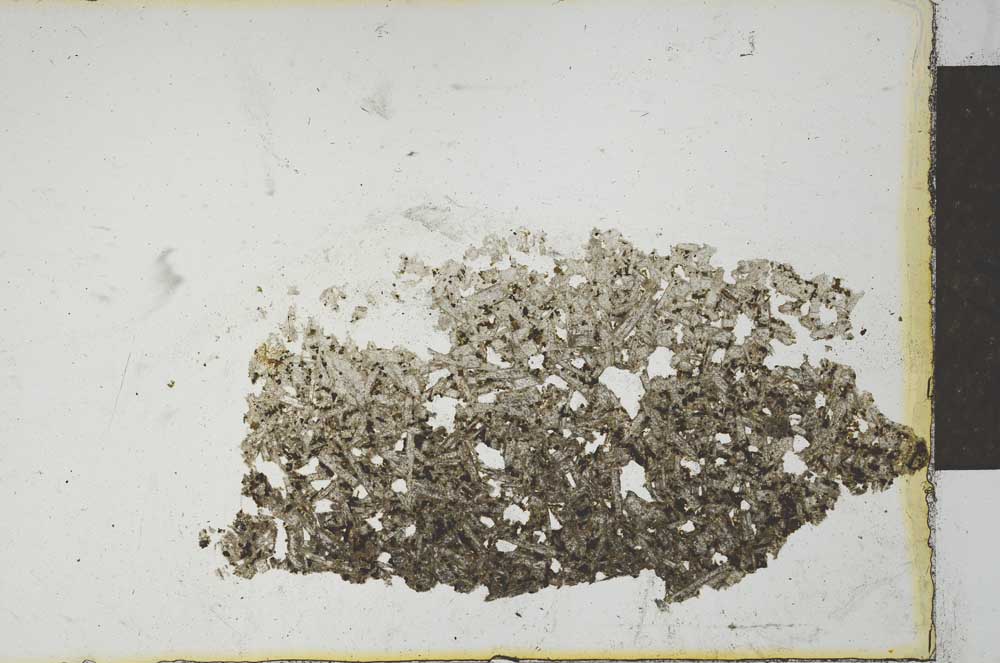 Plane Polarized, S22516