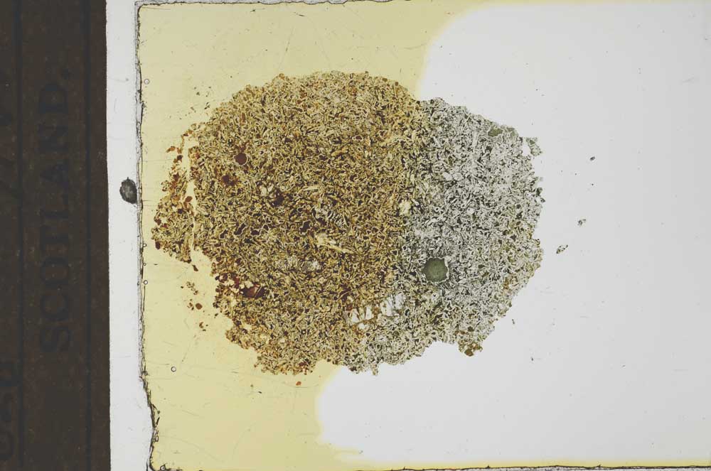 Plane Polarized, S22531