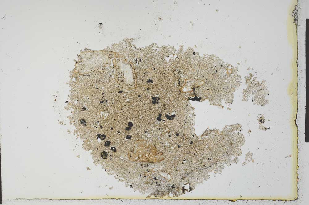 Plane Polarized, S22541