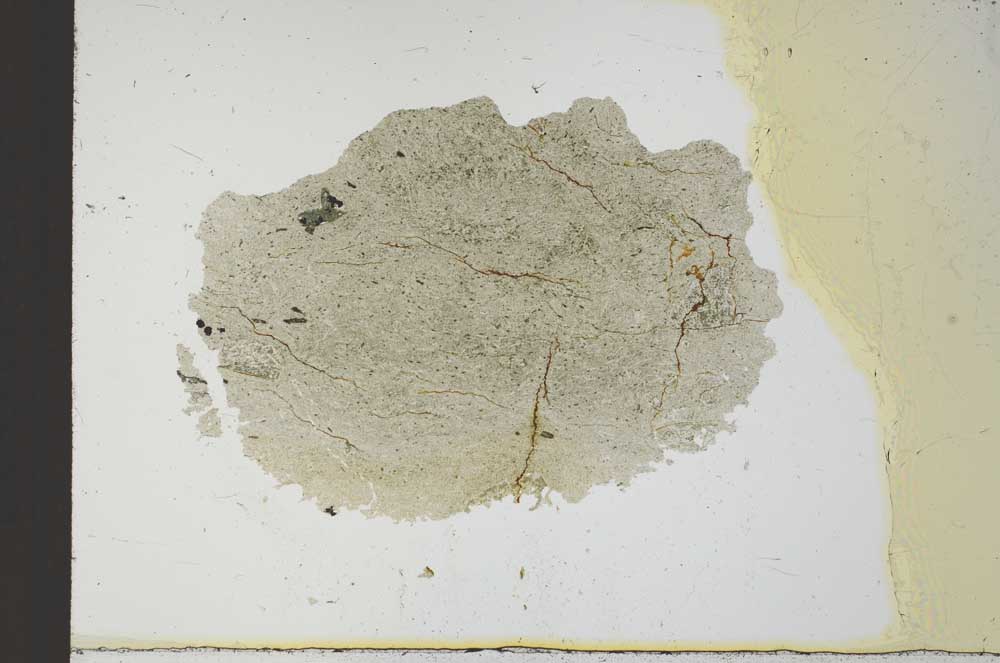 Plane Polarized, S22544