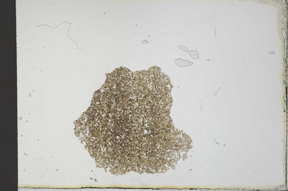 Plane Polarized, S22545