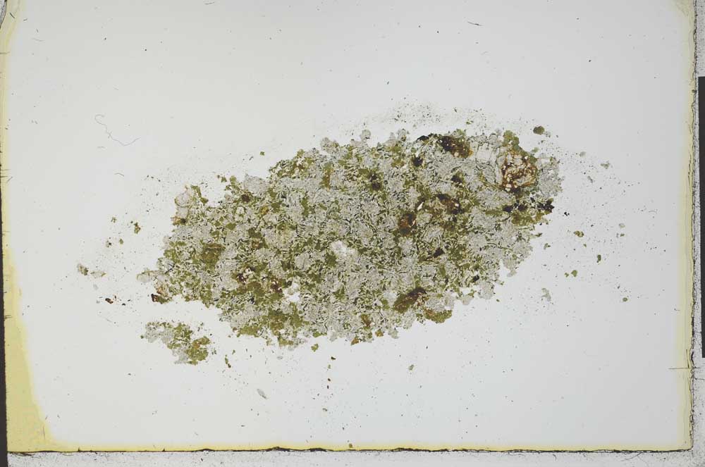 Plane Polarized, S22548