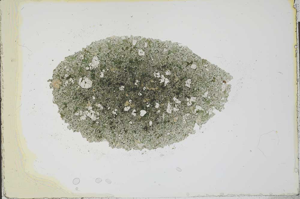 Plane Polarized, S22551