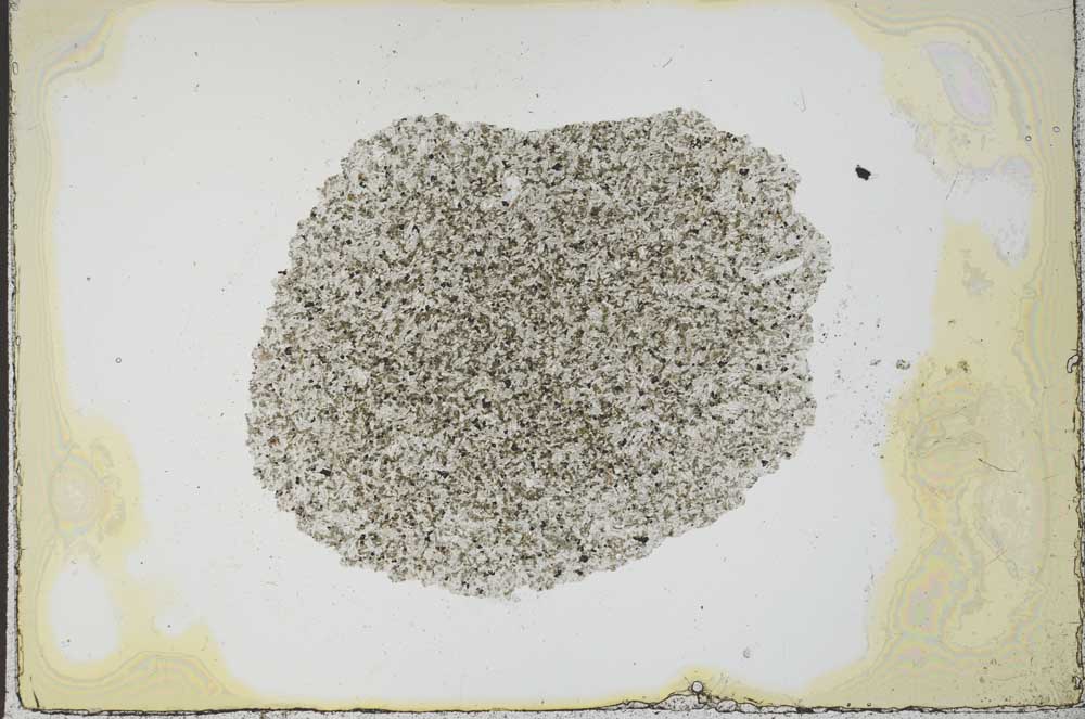 Plane Polarized, S22553