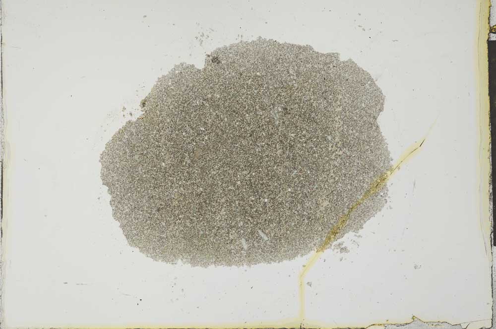 Plane Polarized, S22573