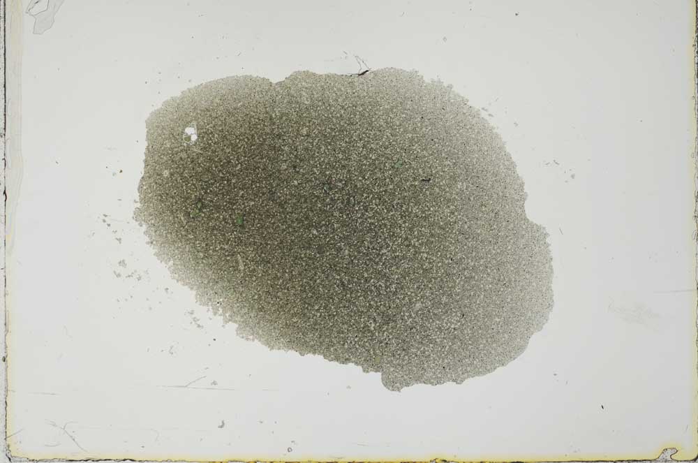 Plane Polarized, S22586