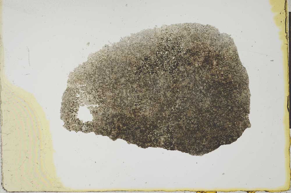 Plane Polarized, S22591