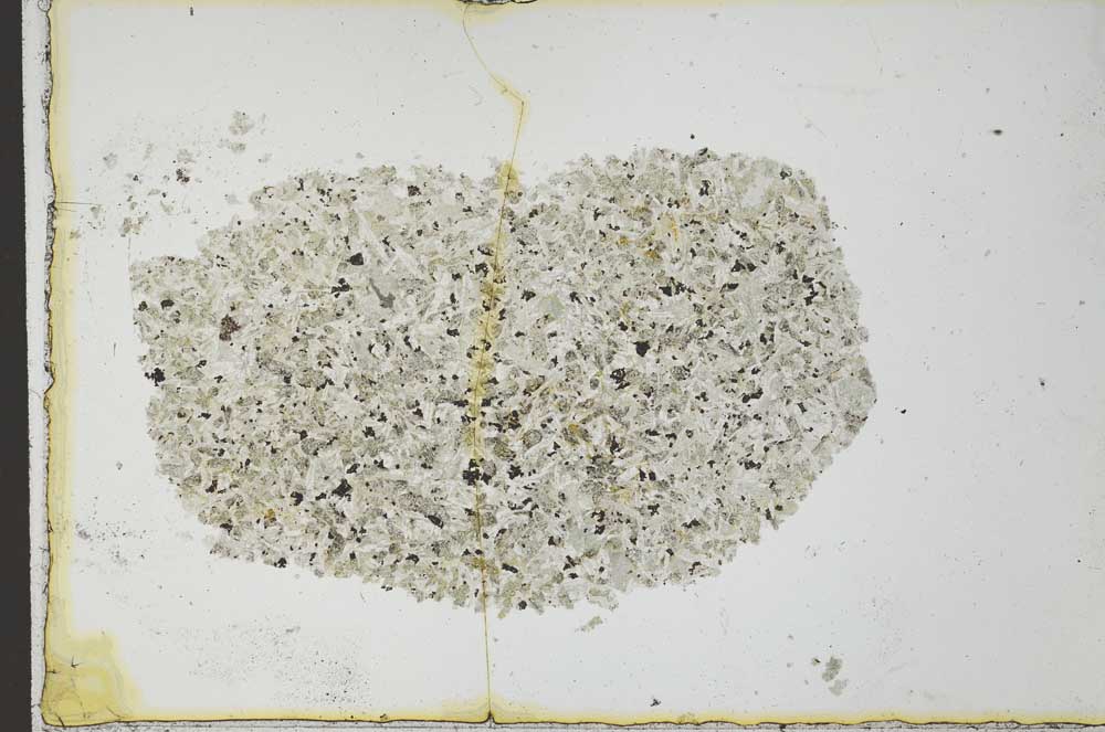 Plane Polarized, S22596