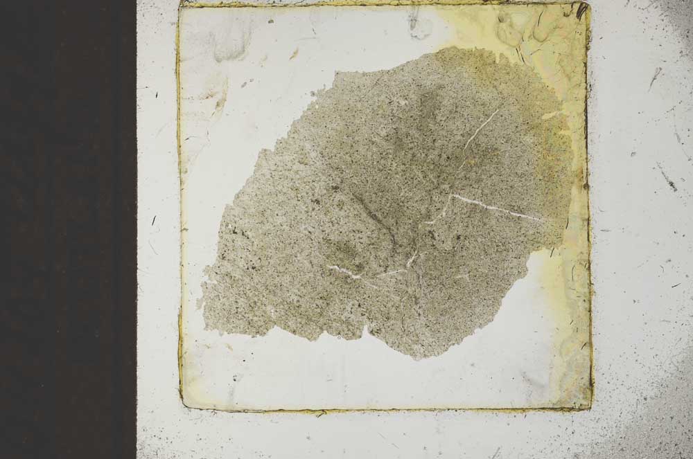 Plane Polarized, S22692