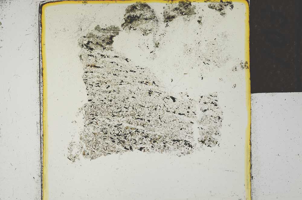 Plane Polarized, S22729/A