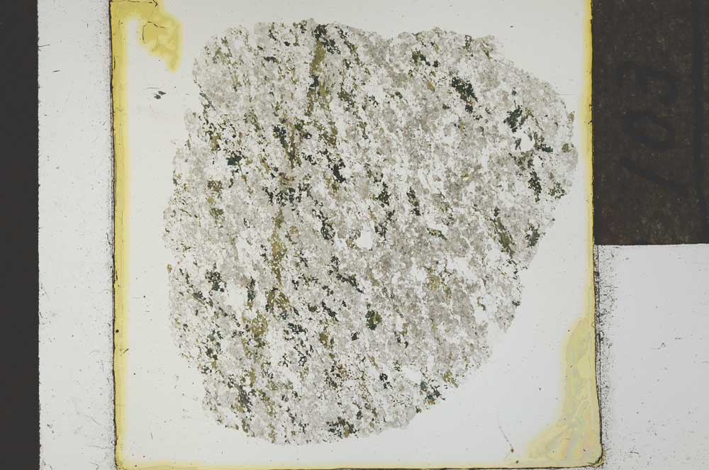Plane Polarized, S22731