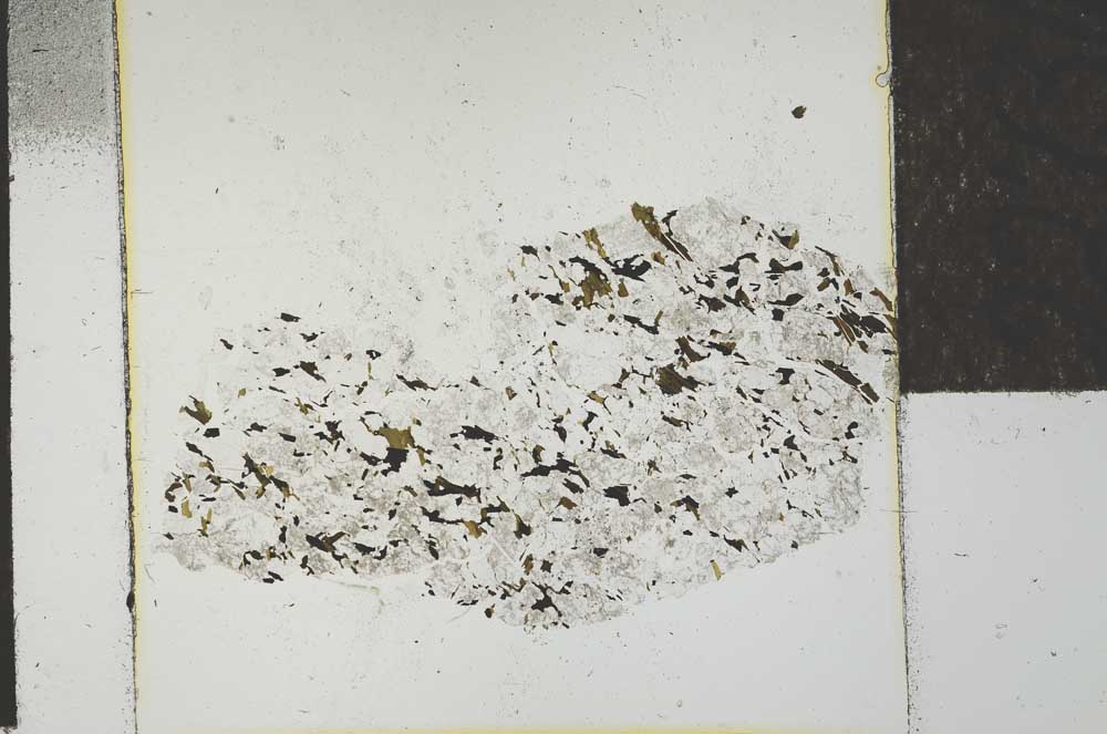 Plane Polarized, S22736