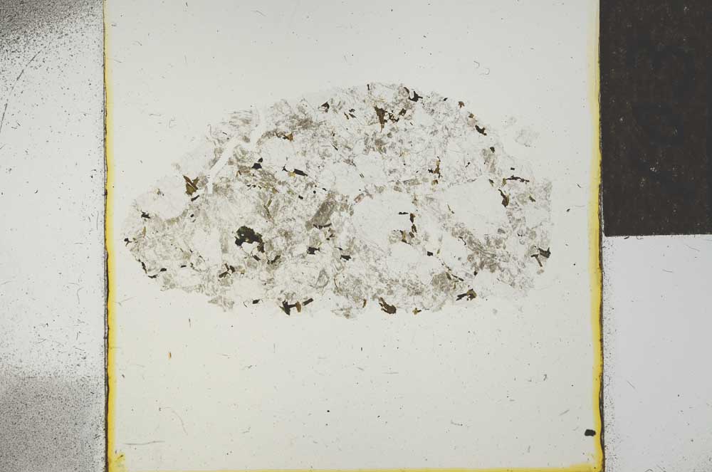 Plane Polarized, S22737