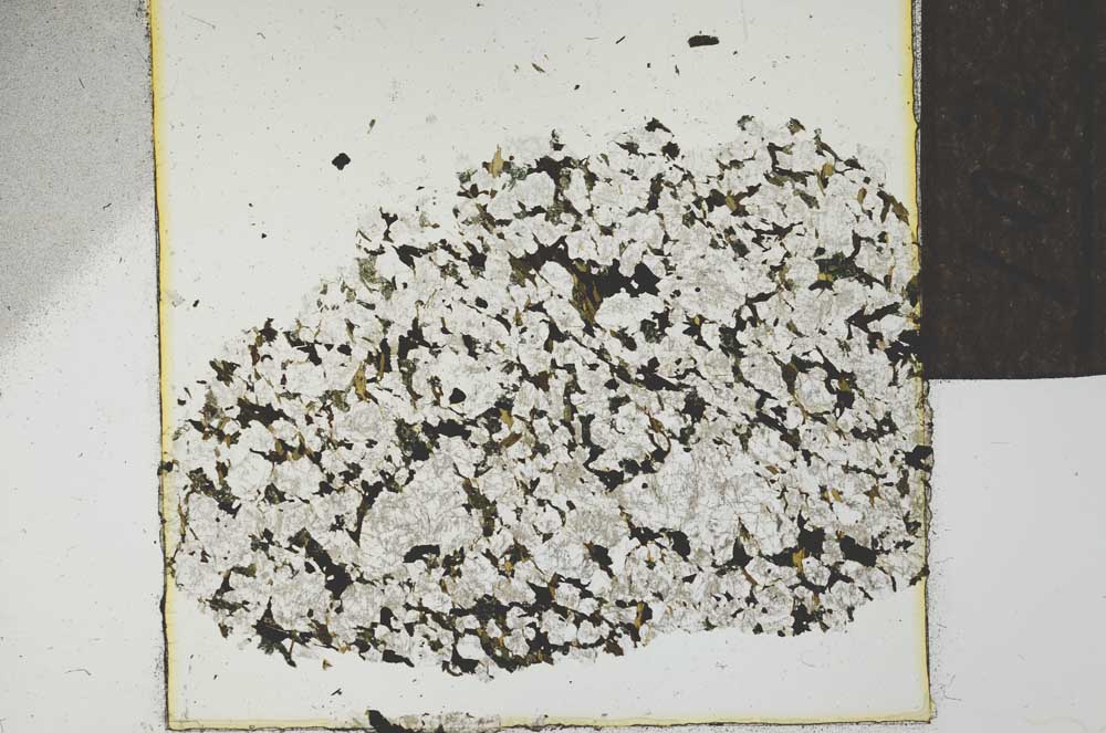 Plane Polarized, S22738