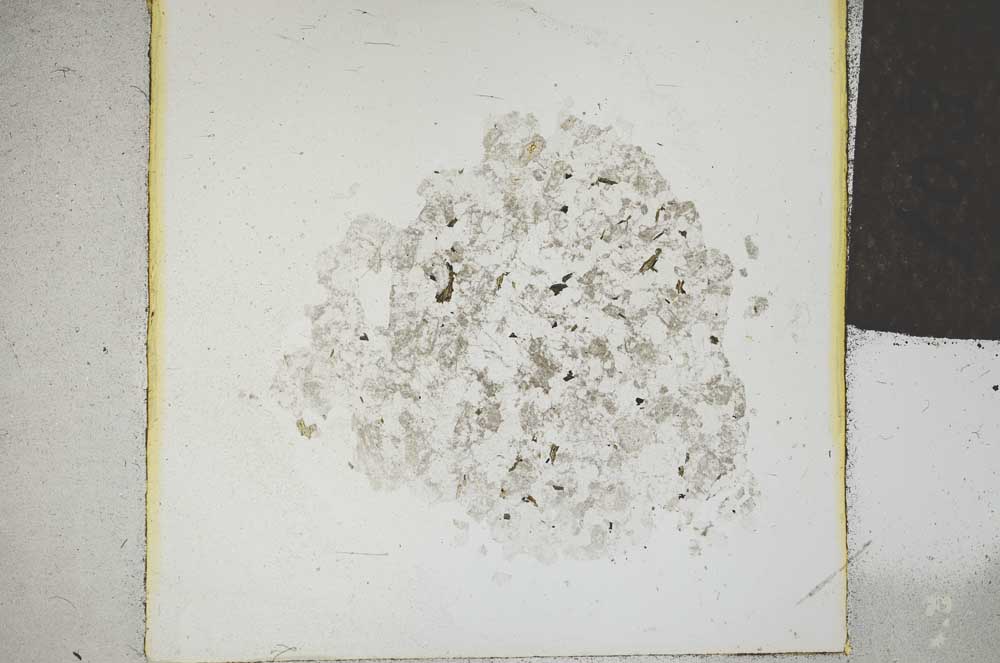 Plane Polarized, S22739