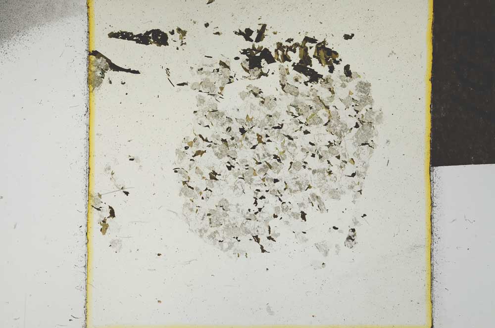 Plane Polarized, S22750